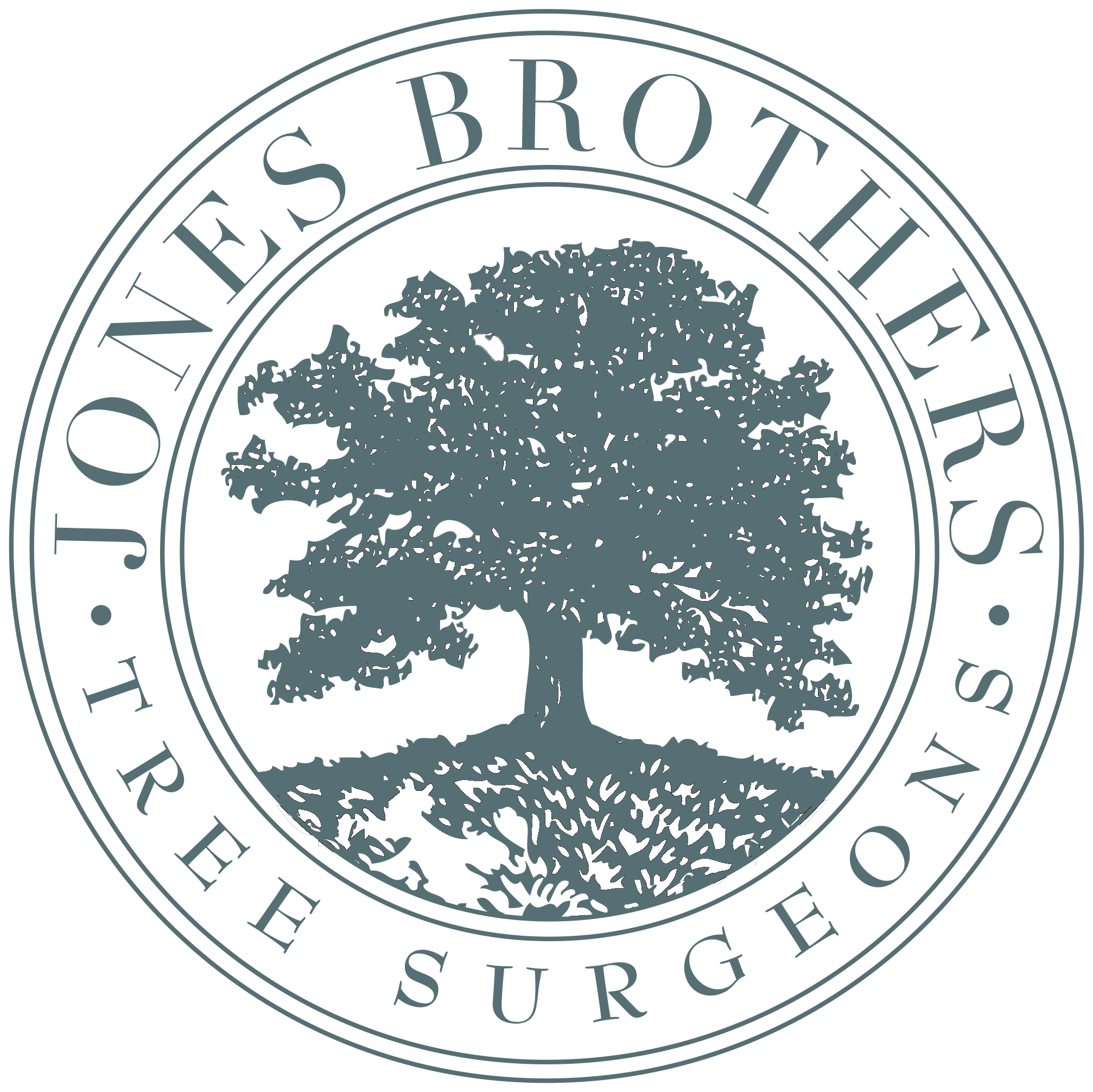 Jones Brothers Tree.png