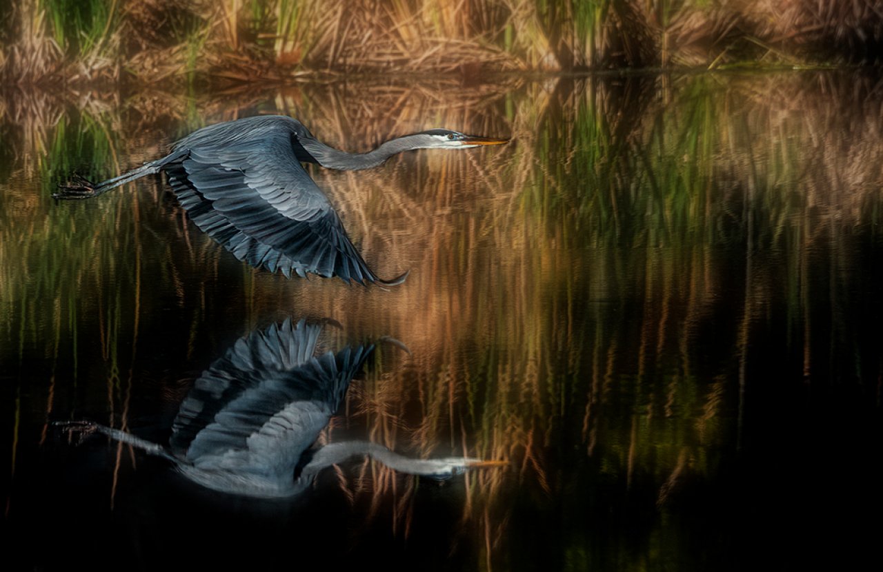The Society of Bluffton Artists Featured Artist exhibit will show from Feb. 4-March 3 with an opening Reception is from 3 to 5 p.m. Feb. 10 at the SoBA Gallery
