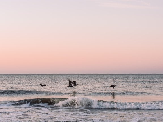 water saving resources