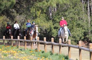Lawton Stables